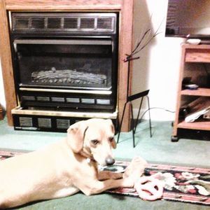 Meet your Posher, Doris